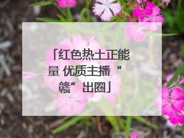 红色热土正能量 优质主播“赣”出圈
