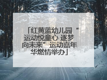 红黄蓝幼儿园“运动悦童心 逐梦向未来”运动嘉年华燃情举办