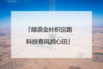 绿浪金叶织富路 科技春风润心田