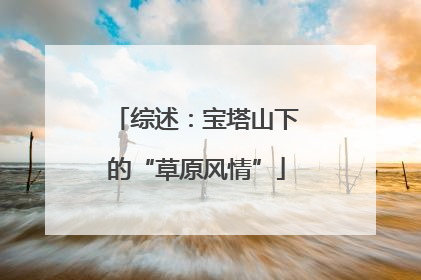 综述：宝塔山下的“草原风情”