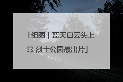 组图｜蓝天白云头上悬 烈士公园最出片