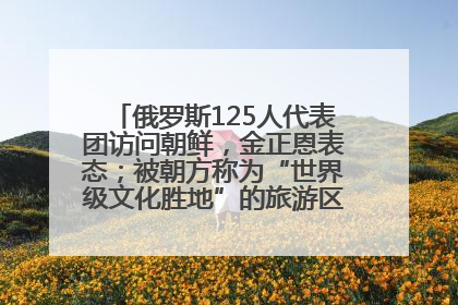 俄罗斯125人代表团访问朝鲜，金正恩表态；被朝方称为“世界级文化胜地”的旅游区，将首次接待俄游客