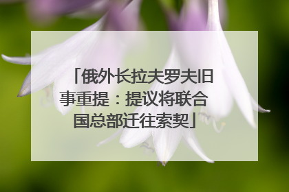 俄外长拉夫罗夫旧事重提：提议将联合国总部迁往索契