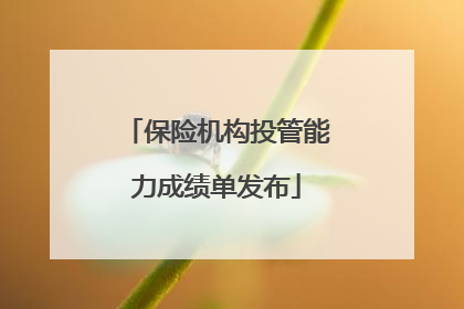 保险机构投管能力成绩单发布