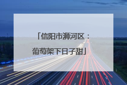 信阳市浉河区：葡萄架下日子甜