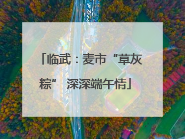 临武：麦市“草灰粽” 深深端午情