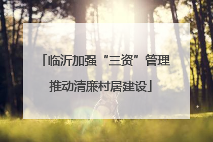 临沂加强“三资”管理 推动清廉村居建设