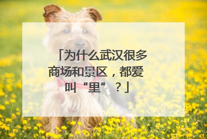 为什么武汉很多商场和景区，都爱叫“里”？