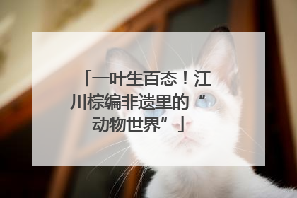 一叶生百态！江川棕编非遗里的“动物世界”