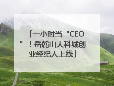 一小时当“CEO”！岳麓山大科城创业经纪人上线