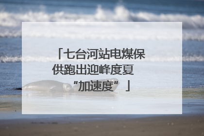 七台河站电煤保供跑出迎峰度夏 “加速度”