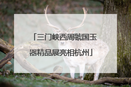 三门峡西周虢国玉器精品展亮相杭州