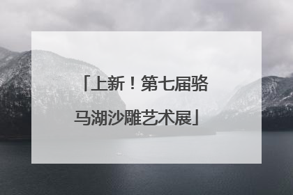 上新！第七届骆马湖沙雕艺术展