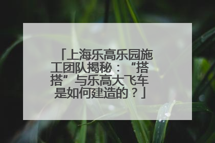 上海乐高乐园施工团队揭秘：“搭搭”与乐高大飞车是如何建造的？