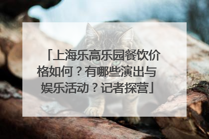 上海乐高乐园餐饮价格如何？有哪些演出与娱乐活动？记者探营