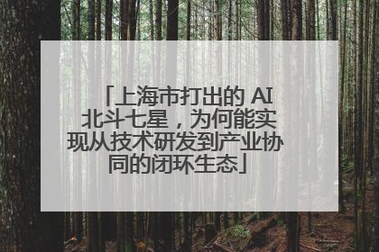 上海市打出的 AI 北斗七星，为何能实现从技术研发到产业协同的闭环生态