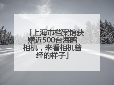 上海市档案馆获赠近500台海鸥相机，来看相机曾经的样子
