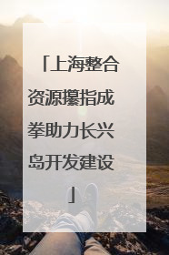 上海整合资源攥指成拳助力长兴岛开发建设
