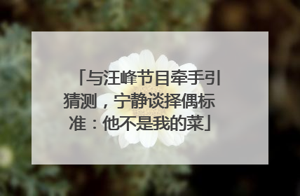与汪峰节目牵手引猜测，宁静谈择偶标准：他不是我的菜