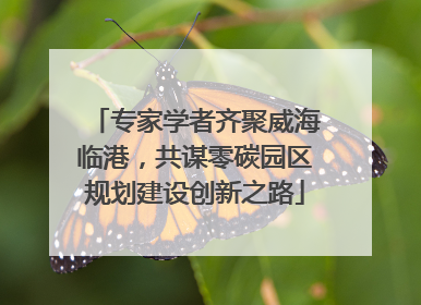 专家学者齐聚威海临港，共谋零碳园区规划建设创新之路