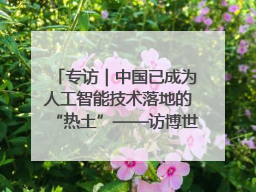 专访｜中国已成为人工智能技术落地的“热土”——访博世集团董事会主席斯特凡·哈通