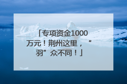 专项资金1000万元！荆州这里，“羽”众不同！