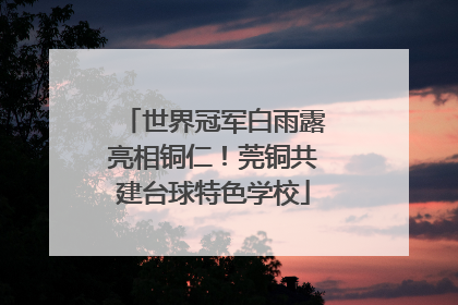 世界冠军白雨露亮相铜仁！莞铜共建台球特色学校