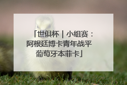 世俱杯｜小组赛：阿根廷博卡青年战平葡萄牙本菲卡