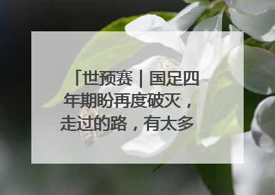 世预赛｜国足四年期盼再度破灭，走过的路，有太多的“意难平”