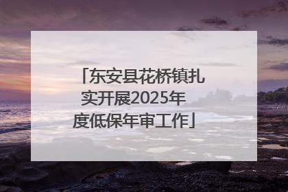 东安县花桥镇扎实开展2025年度低保年审工作