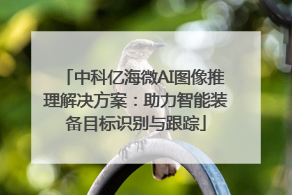 中科亿海微AI图像推理解决方案：助力智能装备目标识别与跟踪