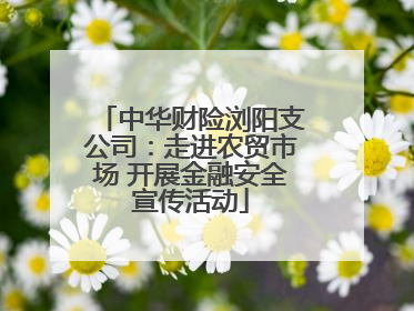 中华财险浏阳支公司：走进农贸市场 开展金融安全宣传活动