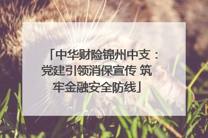中华财险锦州中支：党建引领消保宣传 筑牢金融安全防线