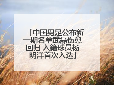 中国男足公布新一期名单武磊伤愈回归 入籍球员杨明洋首次入选