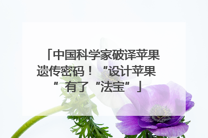 中国科学家破译苹果遗传密码！“设计苹果”有了“法宝”