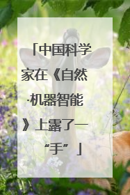 中国科学家在《自然·机器智能》上露了一“手”