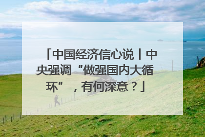 中国经济信心说丨中央强调“做强国内大循环”，有何深意？