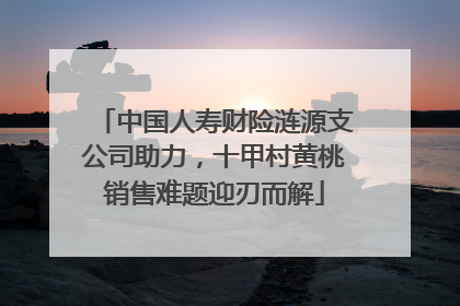中国人寿财险涟源支公司助力，十甲村黄桃销售难题迎刃而解