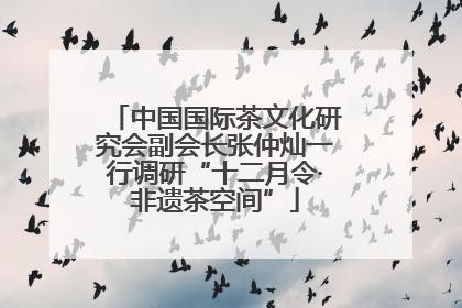 中国国际茶文化研究会副会长张仲灿一行调研“十二月令·非遗茶空间”