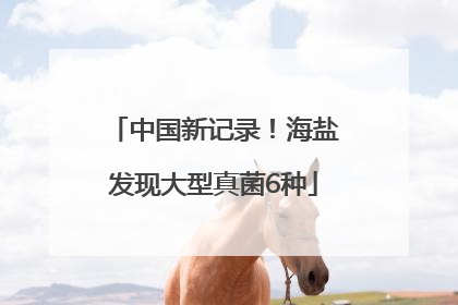 中国新记录！海盐发现大型真菌6种