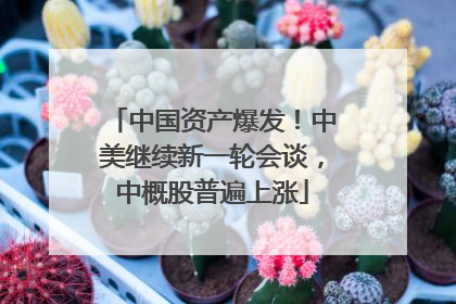 中国资产爆发！中美继续新一轮会谈，中概股普遍上涨