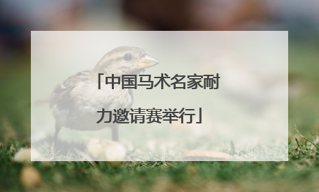 中国马术名家耐力邀请赛举行