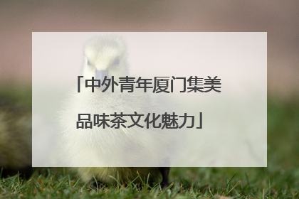 中外青年厦门集美品味茶文化魅力