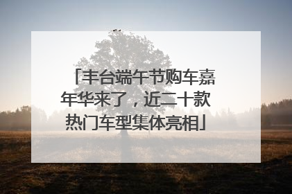 丰台端午节购车嘉年华来了，近二十款热门车型集体亮相