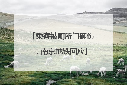 乘客被厕所门砸伤，南京地铁回应