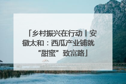 乡村振兴在行动丨安徽太和：西瓜产业铺就“甜蜜”致富路