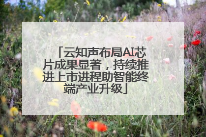 云知声布局AI芯片成果显著，持续推进上市进程助智能终端产业升级