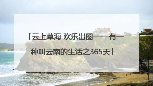 云上草海 欢乐出圈——有一种叫云南的生活之365天