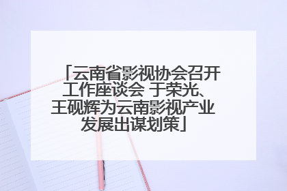 云南省影视协会召开工作座谈会 于荣光、王砚辉为云南影视产业发展出谋划策