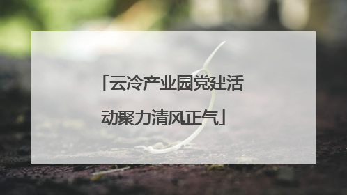 云冷产业园党建活动聚力清风正气